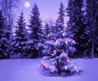 Χριστουγεννιάτικα δέντρα σε ένα χιονισμένο τοπ&amp;#94